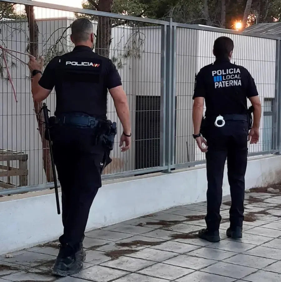 abogado penalista robos y hurtos madrid